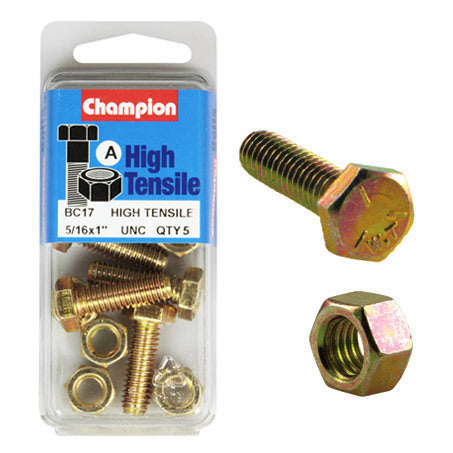 Champion Fully Threaded Set Screws and Nuts 1” x 5/16 BC17