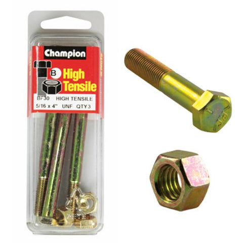 Champion Bolt and Nuts 4” x 5/16  BF30