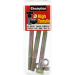 Champion Bolt and Nuts 3”1/2 x 5/16  BF29