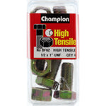 Champion Fully Threaded Set Screws and Nuts 1” x1/2 BF62