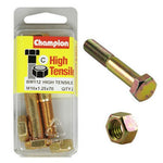 Champion Fully Threaded Set Screws and Nuts 10 x 70x 1.25 mm- BM112