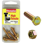 Champion Fully Threaded Set Screws and Nuts 5 x 30mm- BM15