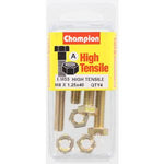 Champion Fully Threaded Set Screws and Nuts 8 x 40mm- BM55