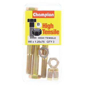 Champion Fully Threaded Set Screws and Nuts 8 x 75mm- BM65