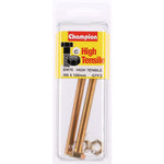 Champion Fully Threaded Set Screws and Nuts 8 x 100mm- BM70